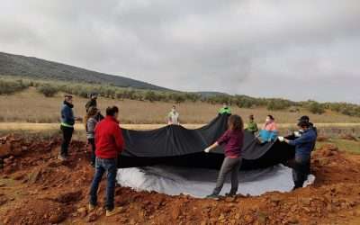 Las fincas agrícolas de Campo de Montiel mejorarán su producción gracias a la biodiversidad
