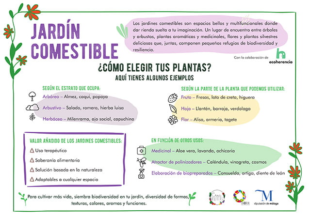 Jardín comestible_Crea H.
