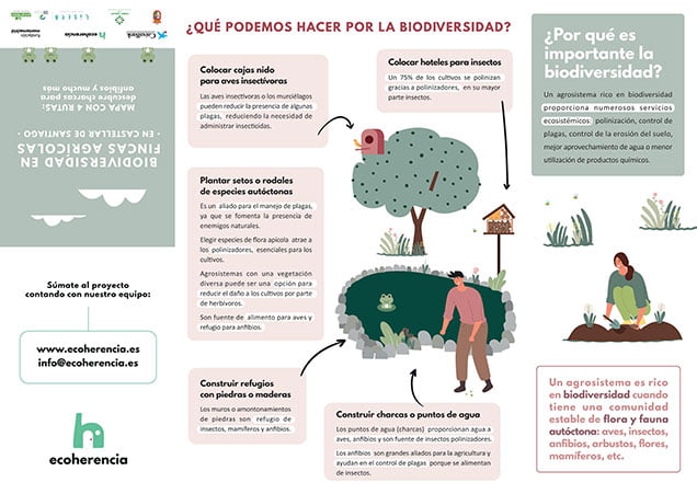 Biodiversidad en fincas agrícolas