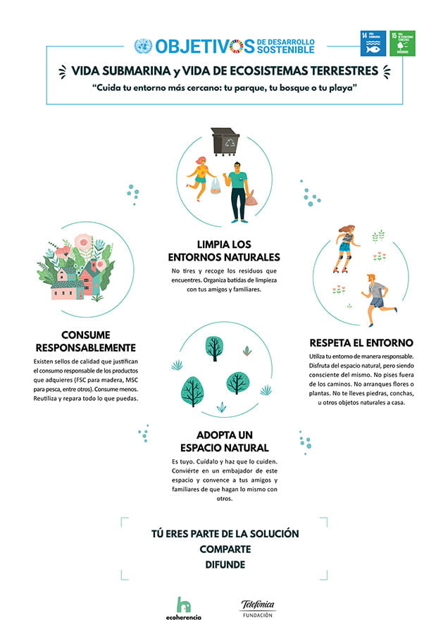 ODS: Vida usbmarina y ecosistemas terrestres
