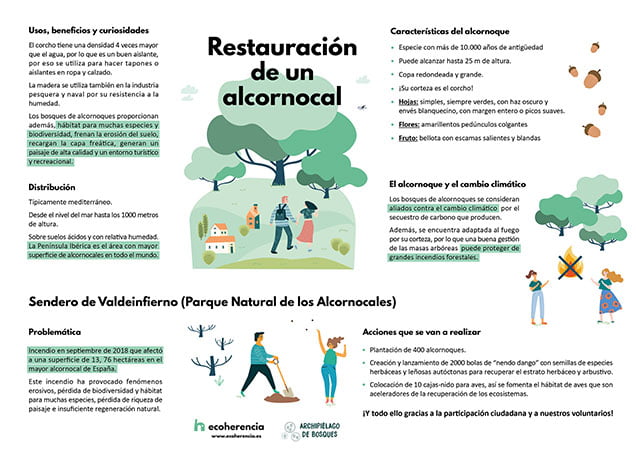 Restauración de un alcornocal