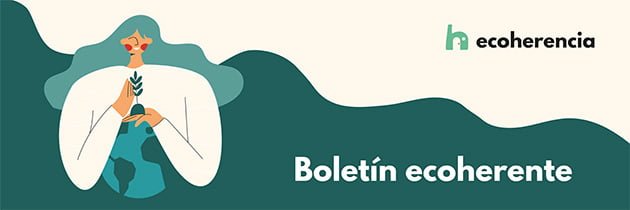 Boletín Echerente