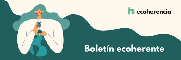 Boletín Echoerente