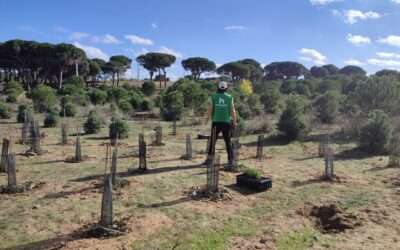 Ecoherencia planta 3994 árboles y arbustos en 2022