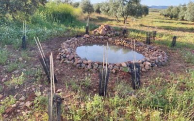 Ecoherencia finaliza su proyecto para mejorar la biodiversidad en Campo de Montiel