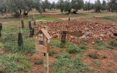 Acción climática: el juego con el que puedes contribuir a ponerle freno a la emergencia climática