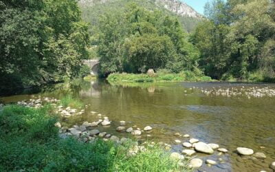 Guardianes de los ríos: el río Nalón