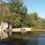 Ciencia ciudadana en el río Nalón (Asturias)
