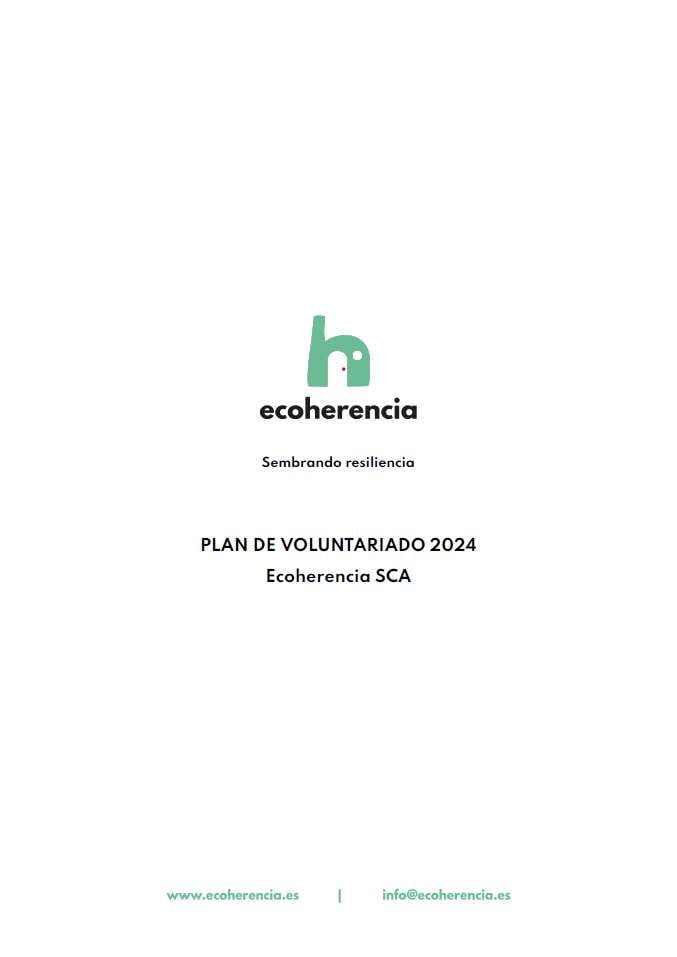 Plan de Voluntariado 2024
