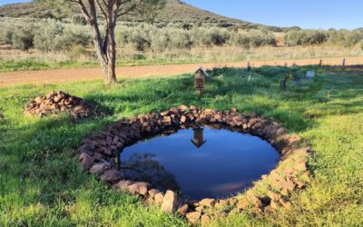 Agroecosistemas ricos en biodiversidad