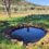 Agroecosistemas ricos en biodiversidad