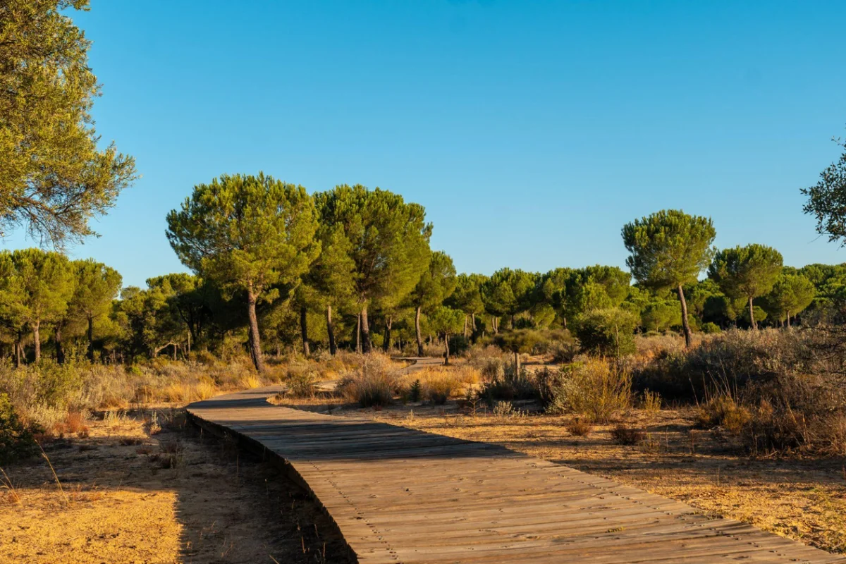 Espacio Natural de Doñana Espacio Natural de Doñana