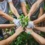 El proyecto “Centinelas de la Economía Social” de Ecoherencia celebra su cierre el próximo 27 de septiembre en Sevilla con la colaboración de Voluntare