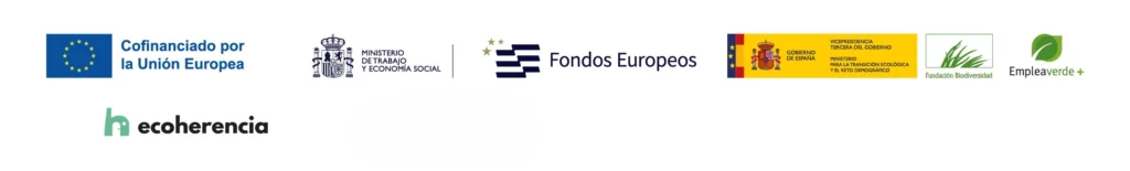 “Agentes eco-rurales para la restauración de ecosistemas” se desarrolla con la colaboración de la Fundación Biodiversidad, del Ministerio para la Transición Ecológica y el Reto Demográfico, a través del Programa Empleaverde+, y cuenta con la cofinanciación de la Unión Europea – FSE+ (Fondo Social Europeo Plus).